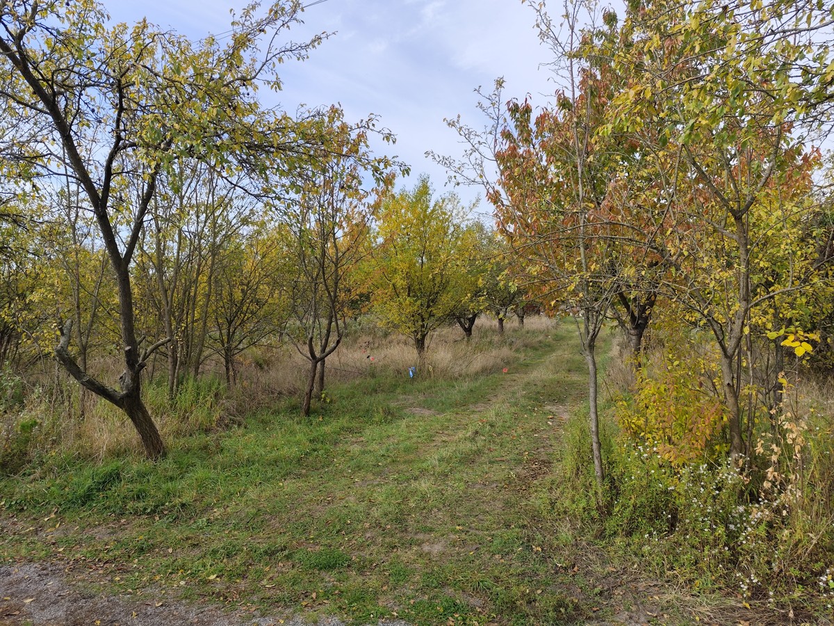 Prodej stavebního pozemku v Újezdě u Brna